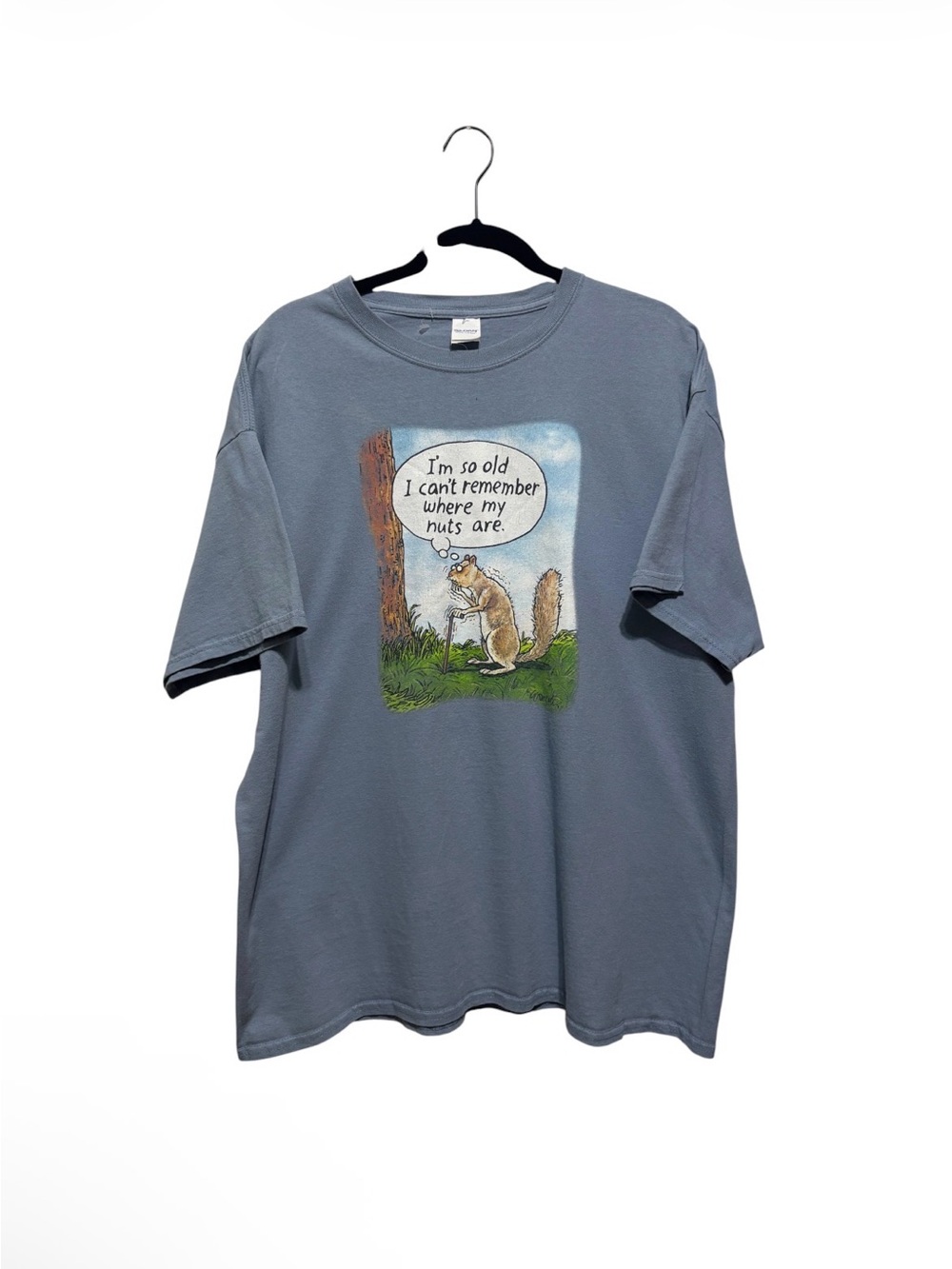 Vintage-Style Gildan Gray Squirrel Graphic Tee